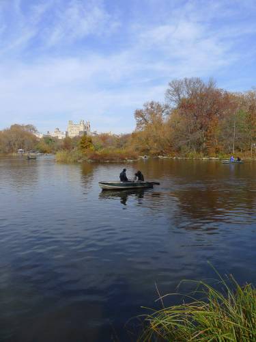 USA_2011-11-20 12-32-30